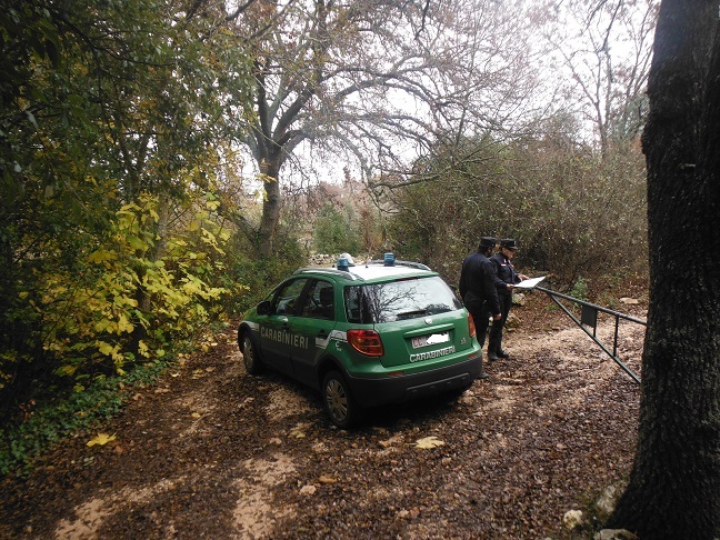 Operazione dei Carabinieri Forestali a Fasano Operazione dei Carabinieri Forestali a Fasano - Osservatorio Fasano