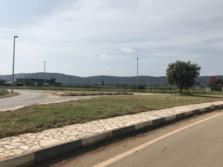 Strade provinciali sul territorio di Fasano ripulite dopo la segnalazione del consigliere Zizzi Strade provinciali sul territorio di Fasano ripulite dopo la segnalazione del consigliere Zizzi - Osservatorio Fasano