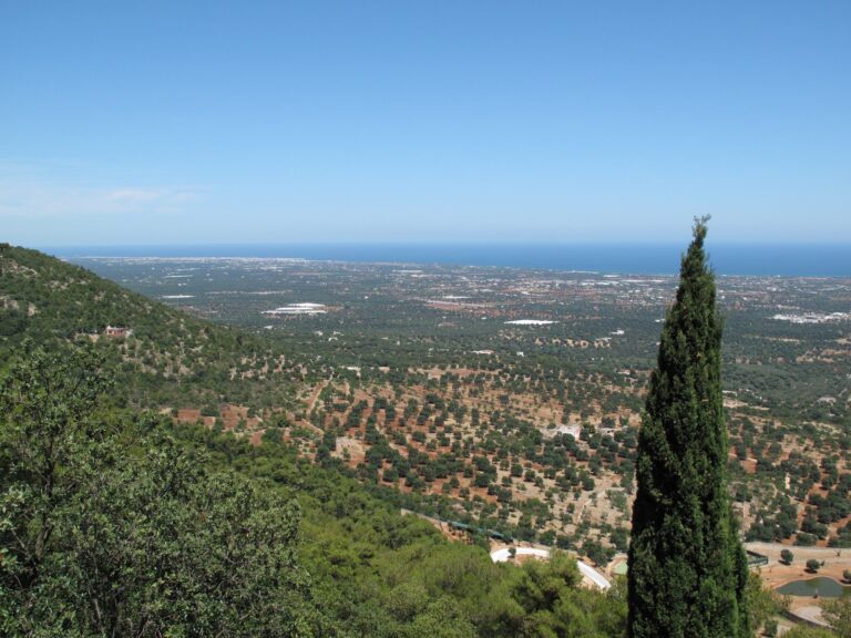 Cambiano date e luoghi di alcuni eventi estivi della Pro Selva - Osservatorio Fasano