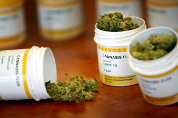 Regolamentazione marijuana in Puglia: una soluzione anche per combattere lo spaccio Regolamentazione marijuana in Puglia: una soluzione anche per combattere lo spaccio - Osservatorio Fasano