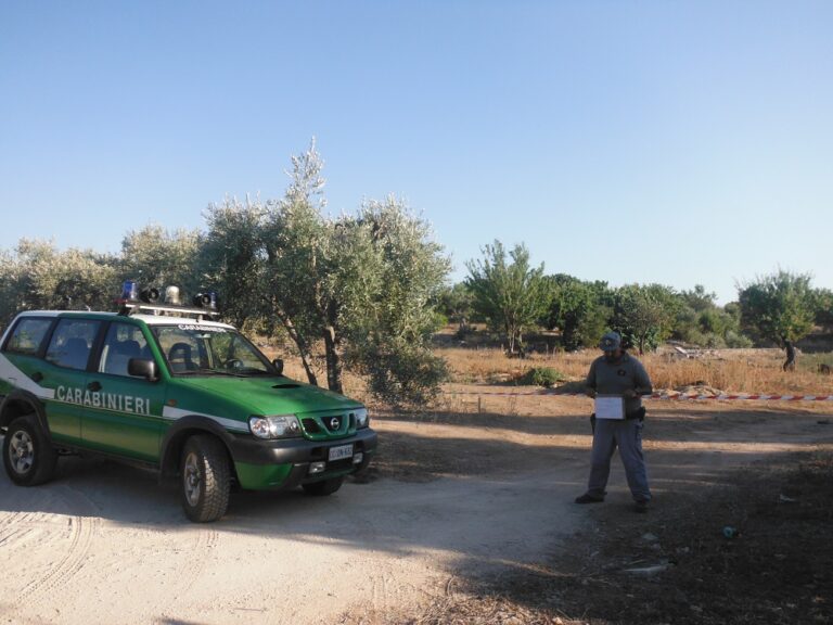 Uliveto trasformato in discarica in Contrada Sarzano a Fasano: denunciato martinese Uliveto trasformato in discarica in Contrada Sarzano a Fasano: denunciato martinese - Osservatorio Fasano