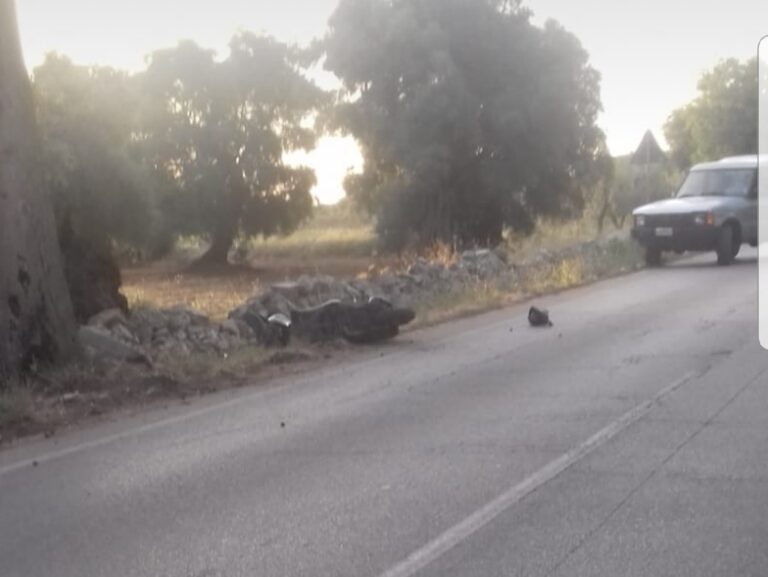 Incidente alle porte di Speziale: muore 20enne fasanese - Osservatorio Fasano