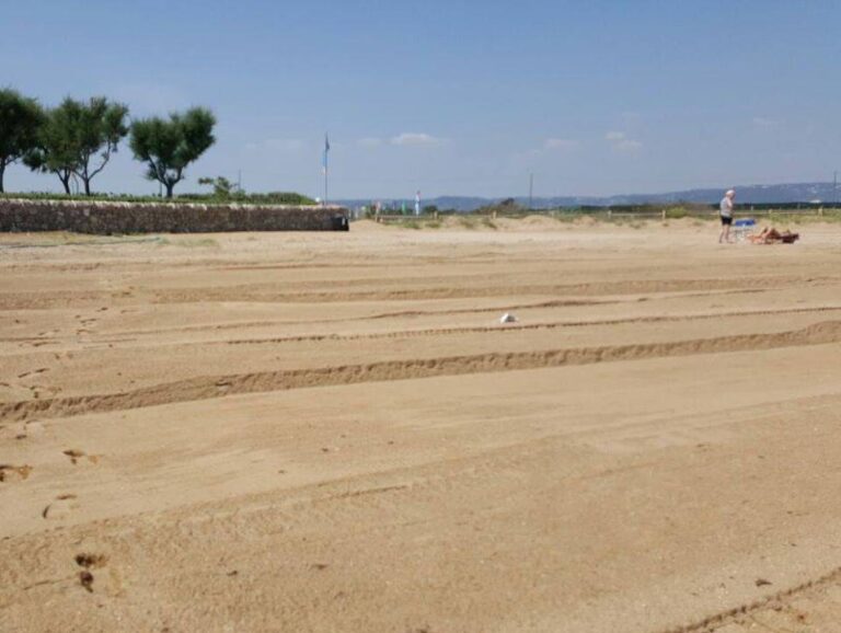 Ripulite le spiagge nel Fasanese: la Tradeco comincia a rispettare gli accordi Ripulite le spiagge nel Fasanese: la Tradeco comincia a rispettare gli accordi - Osservatorio Fasano