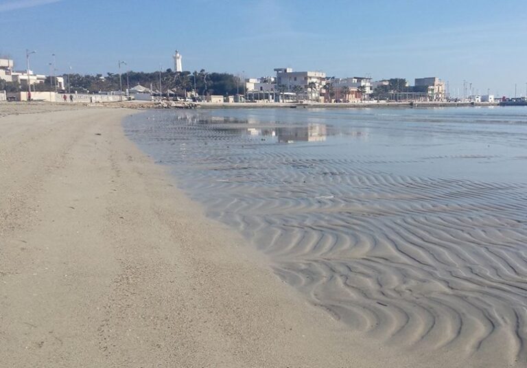 Oltre 500 firme per la petizione ‘Salviamo la spiaggia di Torre Canne’ Oltre 500 firme per la petizione 'Salviamo la spiaggia di Torre Canne' - Osservatorio Fasano