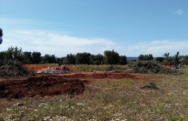 Cavalca ferrovia in contrada Tuppina: tornano le ruspe e non si placano le polemiche Cavalca ferrovia in contrada Tuppina: tornano le ruspe e non si placano le polemiche - Osservatorio Fasano