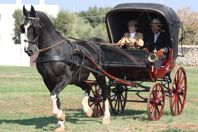 Attacchi di tradizione a Masseria Salamina Attacchi di tradizione a Masseria Salamina - Osservatorio Fasano