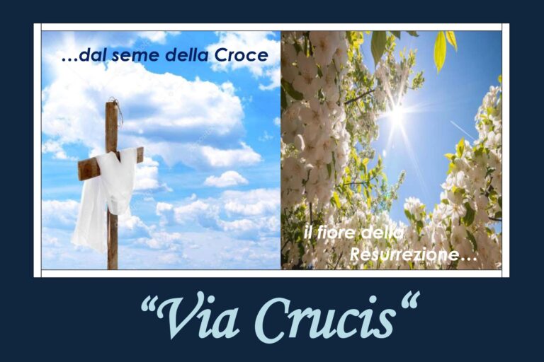 VIII Edizione della Via Crucis delle Confraternite VIII Edizione della Via Crucis delle Confraternite - Osservatorio Fasano