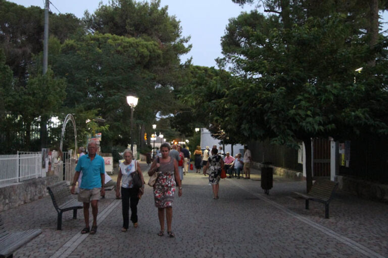 Alberi pericolosi alla Selva di Fasano: la segnalazione dell’associazione Pro Selva Alberi pericolosi alla Selva di Fasano: la segnalazione dell'associazione Pro Selva - Osservatorio Fasano