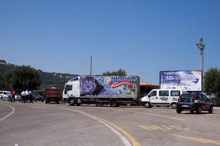 Ancora liti tra la proprietà dello zoo e il paninaro - Osservatorio Fasano