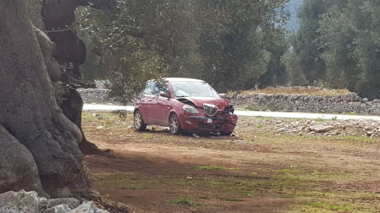 Incidente sulla Fasano-Cisternino: due feriti lievi Incidente sulla Fasano-Cisternino: due feriti lievi - Osservatorio Fasano