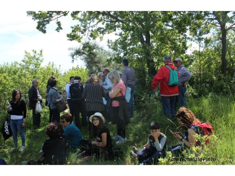 Passeggiata ecologica alla scoperta della macchia mediterranea 2019 Passeggiata ecologica alla scoperta della macchia mediterranea 2019 - Osservatorio Fasano