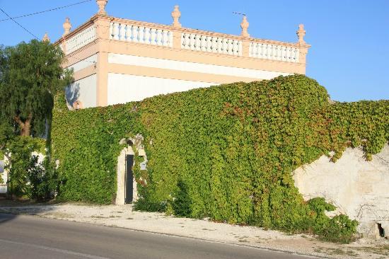 A Fasano avvocati in convegno sul processo esecutivo e concordato preventivo A Fasano avvocati in convegno sul processo esecutivo e concordato preventivo - Osservatorio Fasano
