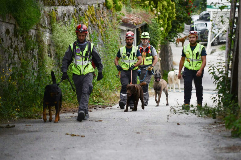 28 aprile: giornata mondiale del cane da soccorso 28 aprile: giornata mondiale del cane da soccorso - Osservatorio Fasano