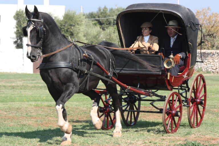 Il 15 ottobre terza edizione del concorso di Tradizione ‘Città di Fasano’ Il 15 ottobre terza edizione del concorso di Tradizione 'Città di Fasano' - Osservatorio Fasano