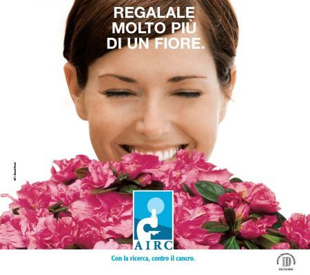 Per la Festa della Mamma regala un’azalea Per la Festa della Mamma regala un'azalea - Osservatorio Fasano