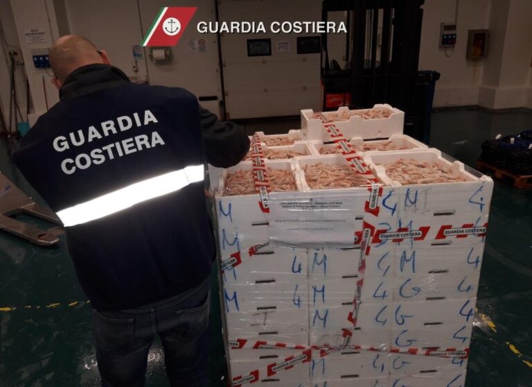 Operazione 'Confine illegale': coinvolte anche attività fasanesi - Osservatorio Fasano