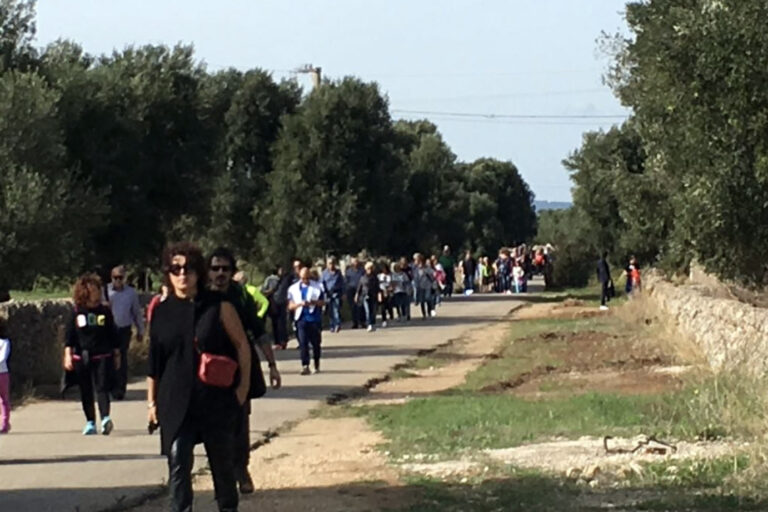 Camminata tra gli olivi: alla scoperta del paesaggio - Osservatorio Fasano
