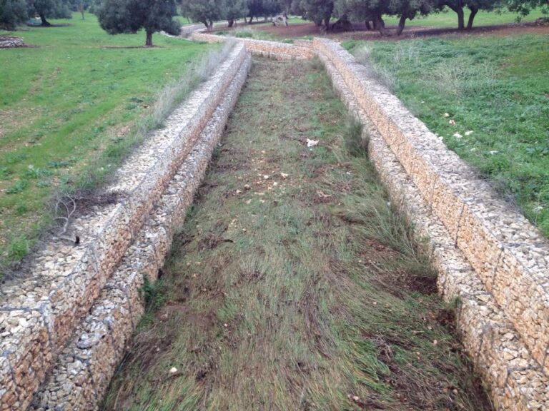 Nuova perimetrazione idraulica Fasano-Montalbano: interviene Fabiano Amati - Osservatorio Fasano