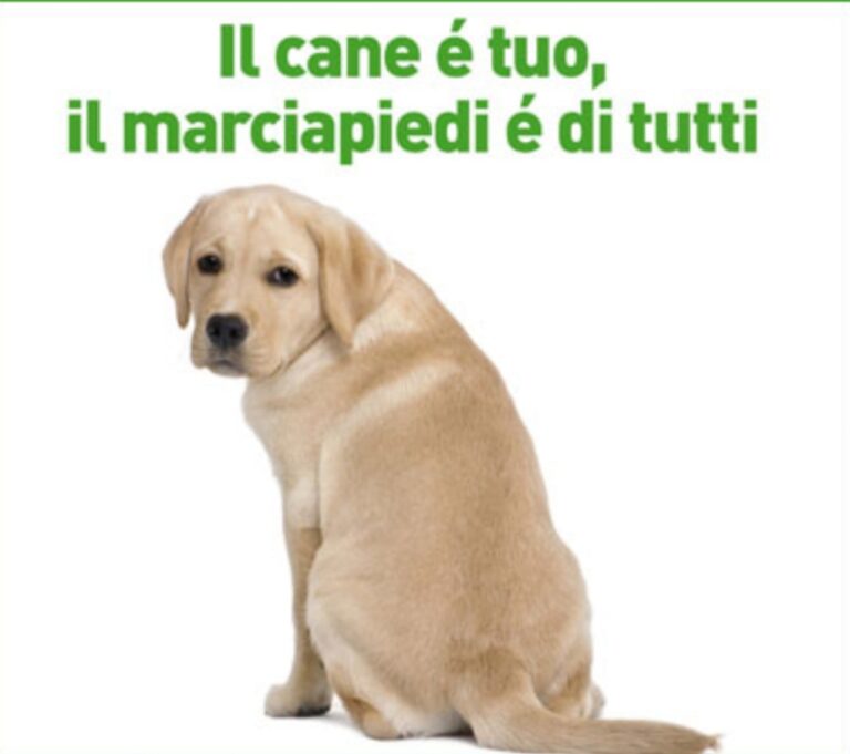 Gli ‘ausiliari della bellezza’ a controllo degli ‘sporcaccioni’ Gli 'ausiliari della bellezza' a controllo degli 'sporcaccioni' - Osservatorio Fasano