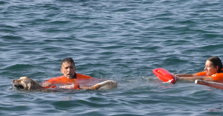 Quattro zampe in spiaggia VIDEO Quattro zampe in spiaggia VIDEO - Osservatorio Fasano