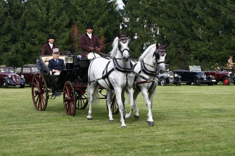 Sfilata di carrozze d'epoca a Selva di Fasano - Osservatorio Fasano