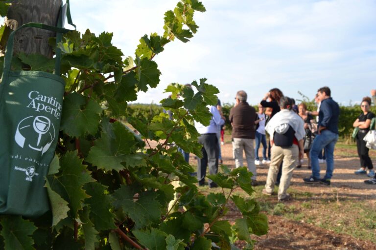 CANTINE APERTE IN VENDEMMIA 2018 CANTINE APERTE IN VENDEMMIA 2018 - Osservatorio Fasano