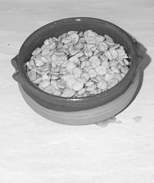 Farro e cicerchie sulla tavola antica Farro e cicerchie sulla tavola antica - Osservatorio Fasano