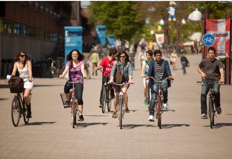 25 city bike per i migliori studenti universitari fasanesi 25 city bike per i migliori studenti universitari fasanesi - Osservatorio Fasano