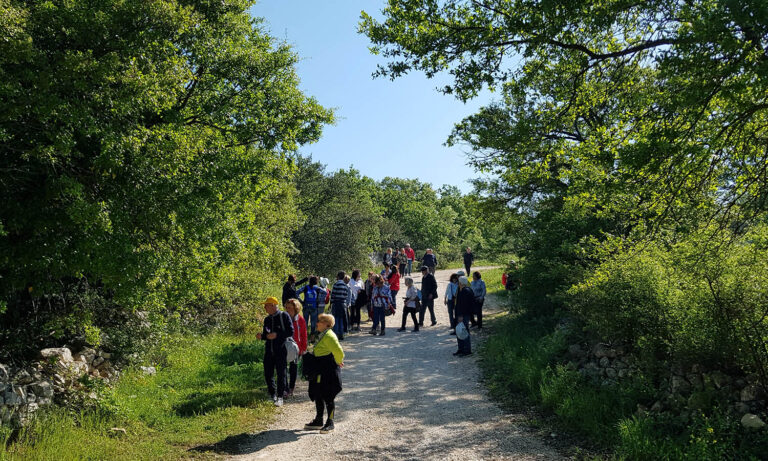Passeggiata Ecologica: alla scoperta della macchia mediterranea VIDEO Passeggiata Ecologica: alla scoperta della macchia mediterranea VIDEO - Osservatorio Fasano