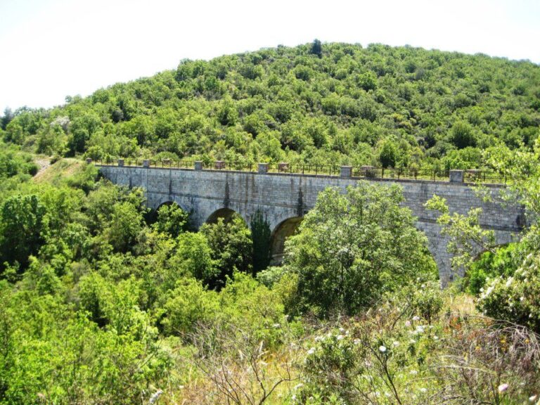 Nuova edizione della passeggiata ecologica a Cocolicchio Nuova edizione della passeggiata ecologica a Cocolicchio - Osservatorio Fasano