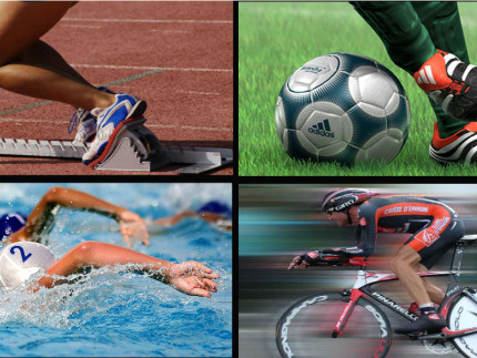 Nasce a Fasano la Consulta cittadina dello sport Nasce a Fasano la Consulta cittadina dello sport - Osservatorio Fasano