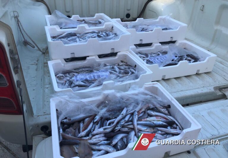 Brindisi: Guardia Costiera sequestra prodotto ittico - Osservatorio Fasano