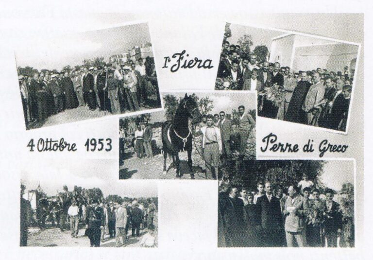 Pezze di Greco, la ‘Fiera di San Francesco’ si veste a festa Pezze di Greco, la 'Fiera di San Francesco' si veste a festa - Osservatorio Fasano