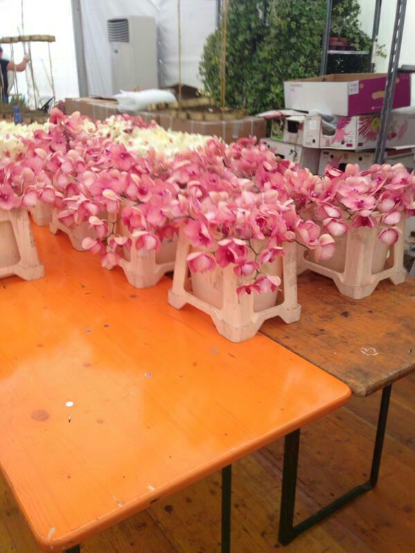 Matrimonio da favola a Savelletri: ecco cosa mangeranno sposi ed invitati Matrimonio da favola a Savelletri: ecco cosa mangeranno sposi ed invitati - Osservatorio Fasano