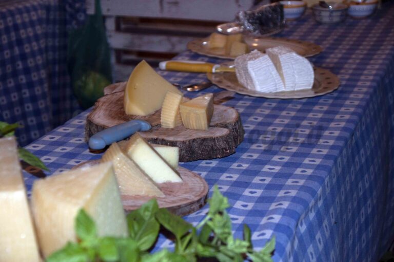 Salamina Country Food VIDEO Salamina Country Food VIDEO - Osservatorio Fasano