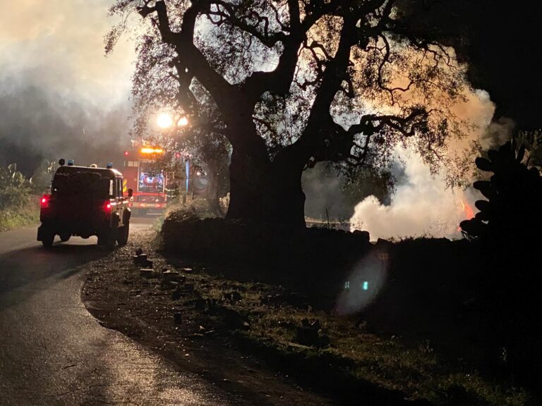 Fuoco nella notte: albero di ulivo in fiamme alle porte di Fasano - Osservatorio Fasano