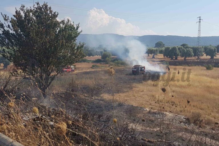 Incendio sulla SS16 vicino lo stadio di Pezze di Greco - Osservatorio Fasano