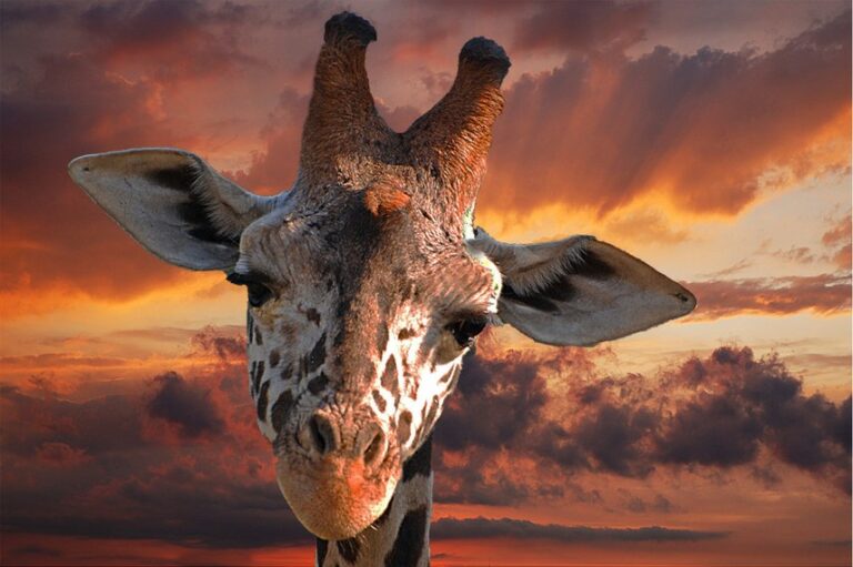 Tra settembre e ottobre altro film a Fasano - Osservatorio Fasano