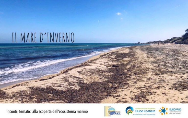 Il Mare d’inverno – ultimo appuntamento Il Mare d'inverno - ultimo appuntamento - Osservatorio Fasano