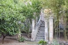 Corti e giardini: le strade chiuse al traffico e il servizio navetta Corti e giardini: le strade chiuse al traffico e il servizio navetta - Osservatorio Fasano