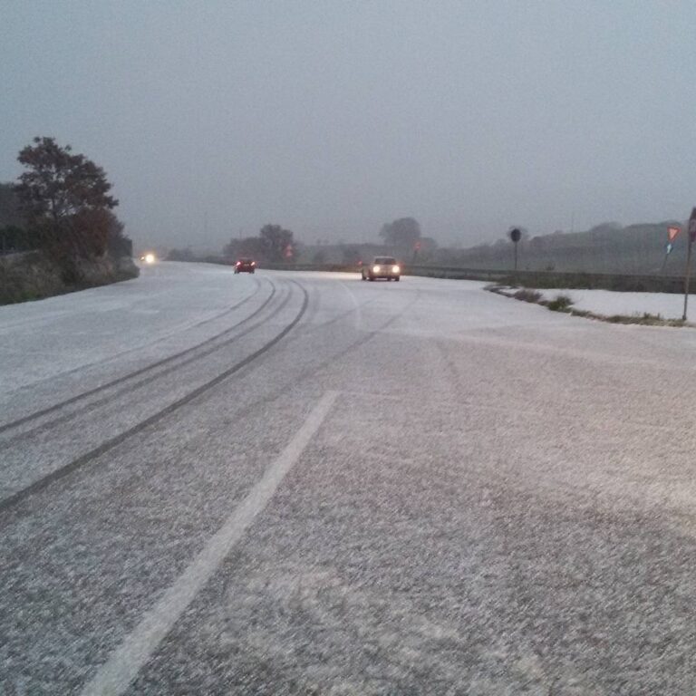 Nevicate nel Fasanese: si registrano i primi problemi in collina Nevicate nel Fasanese: si registrano i primi problemi in collina - Osservatorio Fasano