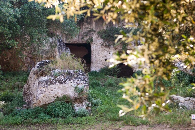 Emesso il bando di gara per la gestione di Lama d’Antico Emesso il bando di gara per la gestione di Lama d'Antico - Osservatorio Fasano