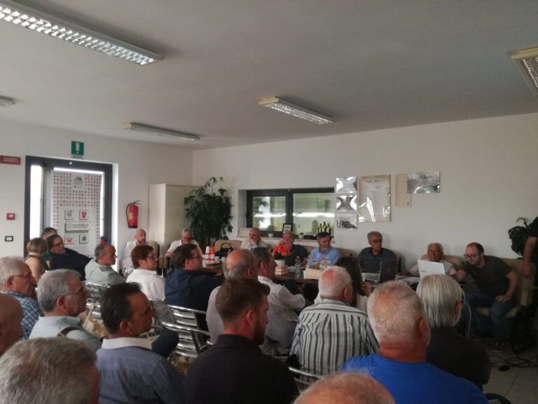 Al via il progetto Sì Sostenibilità Innovazione Al via il progetto Sì Sostenibilità Innovazione - Osservatorio Fasano