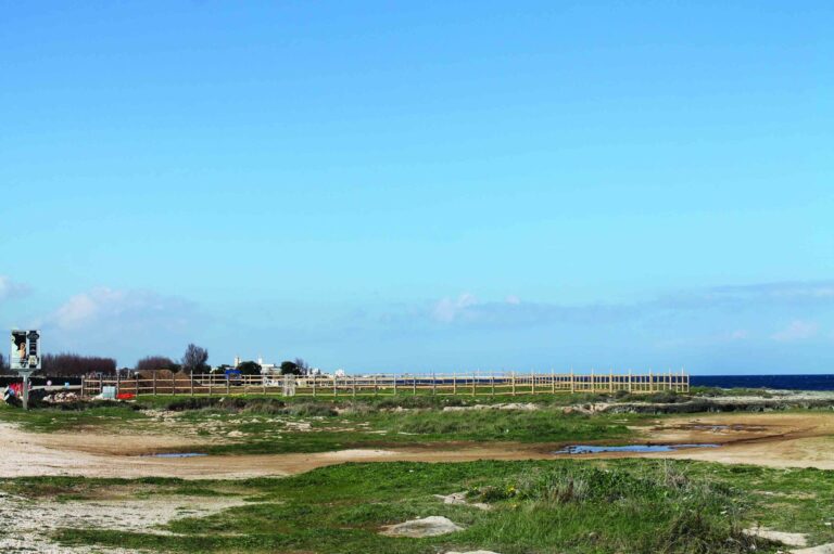 Su richiesta della Verdemare al Fortino è stato ripristinato lo stato dei luoghi VIDEO - Osservatorio Fasano