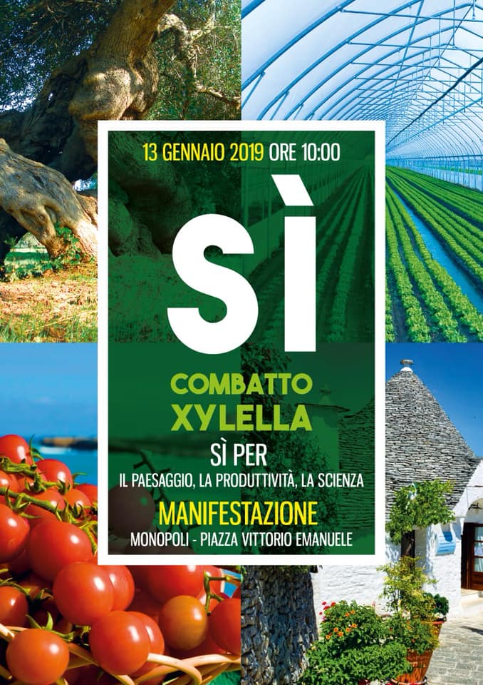Assemblea cittadina pre – manifestazione ‘Sì, COMBATTO XYLELLA’ Assemblea cittadina pre - manifestazione 'Sì, COMBATTO XYLELLA' - Osservatorio Fasano