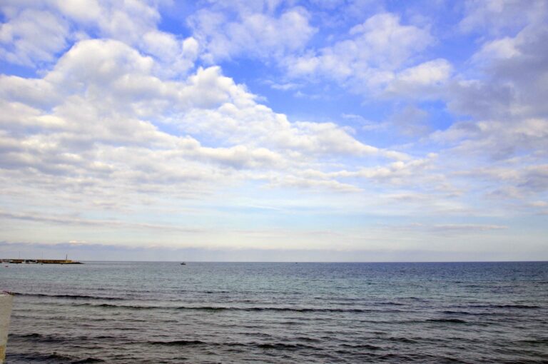 Nasce il progetto Guardiani della Costa - Osservatorio Fasano