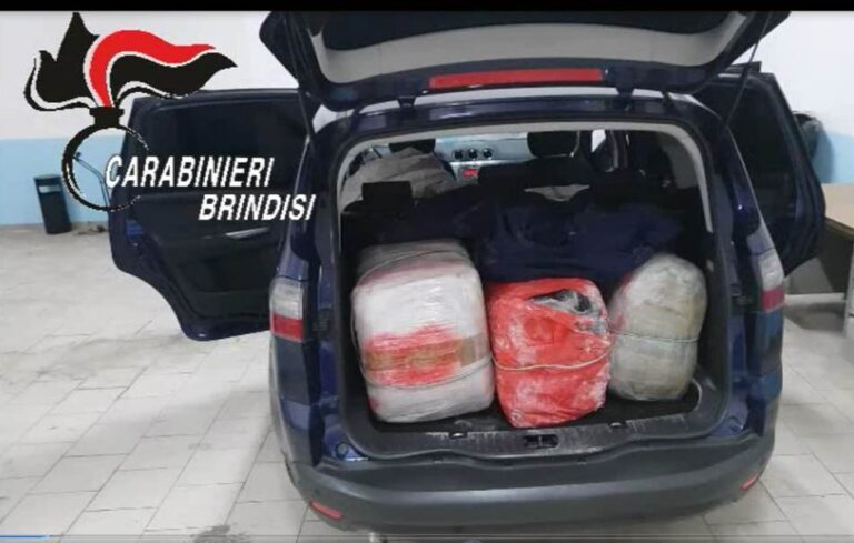 Sequestrati 130 kg di Marijuana VIDEO Sequestrati 130 kg di Marijuana VIDEO - Osservatorio Fasano