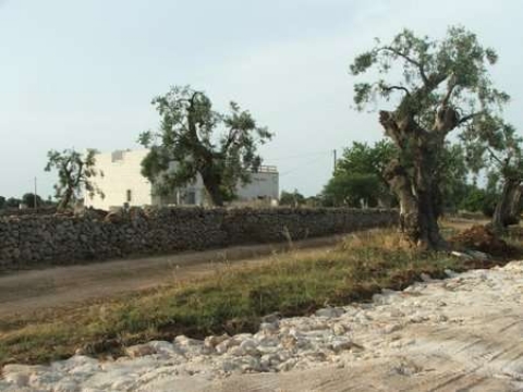 Sfilano i testimoni per i presunti abusi edilizi di villa Donadoni Sfilano i testimoni per i presunti abusi edilizi di villa Donadoni - Osservatorio Fasano