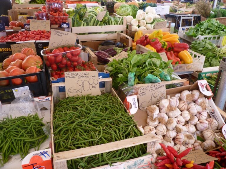 Arriva la Fasano-Selva e cambia la sede del mercatino del contadino Arriva la Fasano-Selva e cambia la sede del mercatino del contadino - Osservatorio Fasano