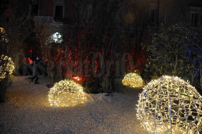 La domenica dell’Immacolata VIDEO La domenica dell'Immacolata VIDEO - Osservatorio Fasano